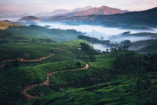 Munnar taxi from Tiruppur